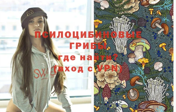эйфоретик Армянск