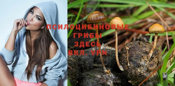 амфетамин Аркадак