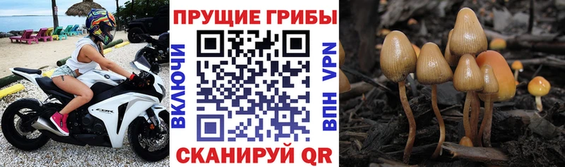 Галлюциногенные грибы ЛСД blacksprut вход Белёв как найти закладки